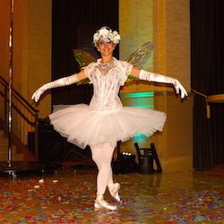 Ballerina Fairy image